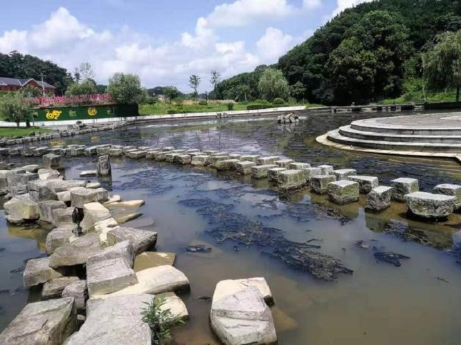 1666323760429579.jpg 4.jpg