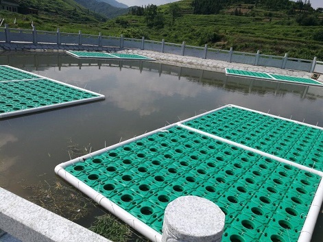 1669967887374943.jpg 11.jpg