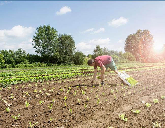 土壤修復環(huán)保公司排名哪家更可靠? 土壤修復環(huán)保公司排名哪家更可靠?