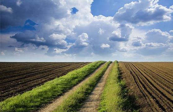 農村環境綜合整治一般包含哪些內容? 農村環境綜合整治一般包含哪些內容?